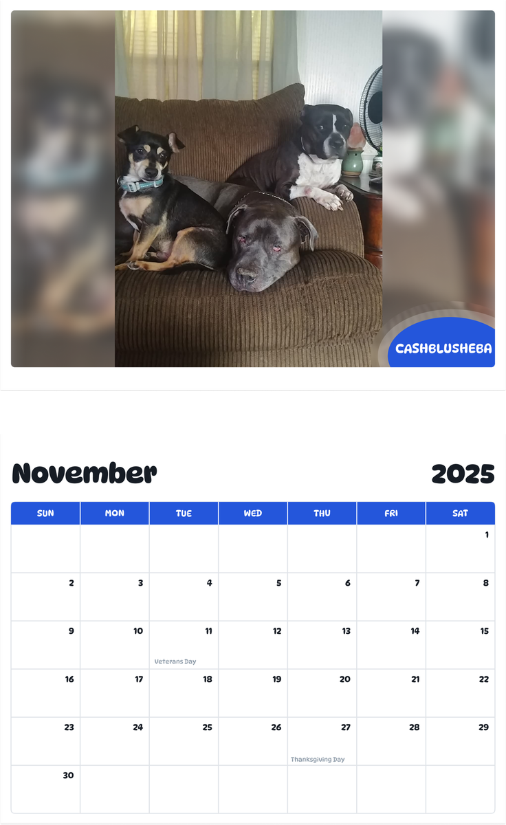 July 2025 - June 2026 CashBluSheba - Pawidols Pet Calendar