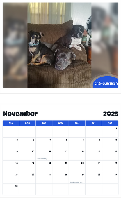 July 2025 - June 2026 CashBluSheba - Pawidols Pet Calendar