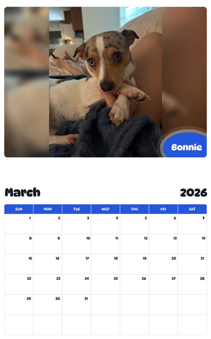 November 2025 - October 2026 Bonnie - Pawidols Pet Calendar