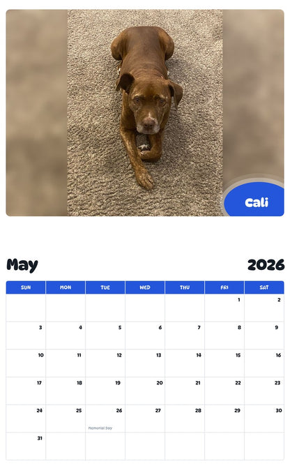 2026 - 2027 Cali - Pawidols Pet Calendar