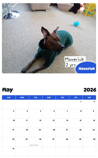 2026 - 2027 Maverick - Pawidols Pet Calendar