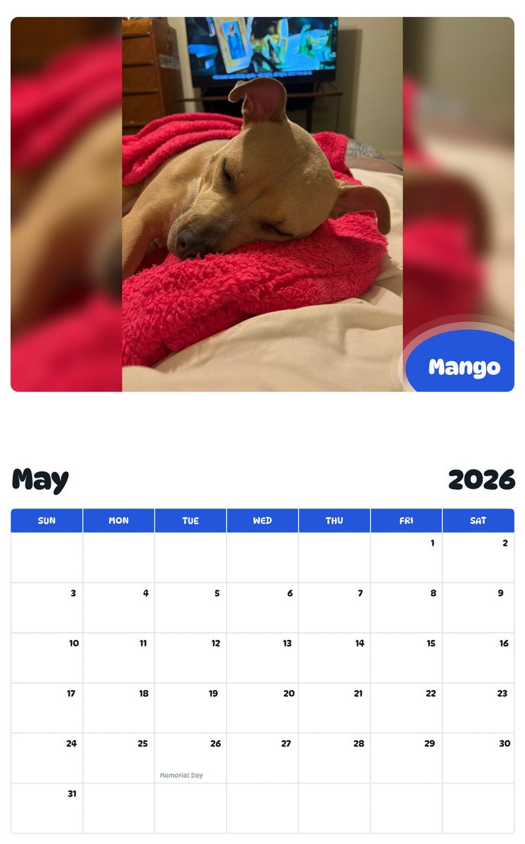 2026 - 2027 Mango - Pawidols Pet Calendar
