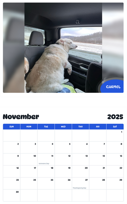 July 2025 - June 2026 Carmel - Pawidols Pet Calendar