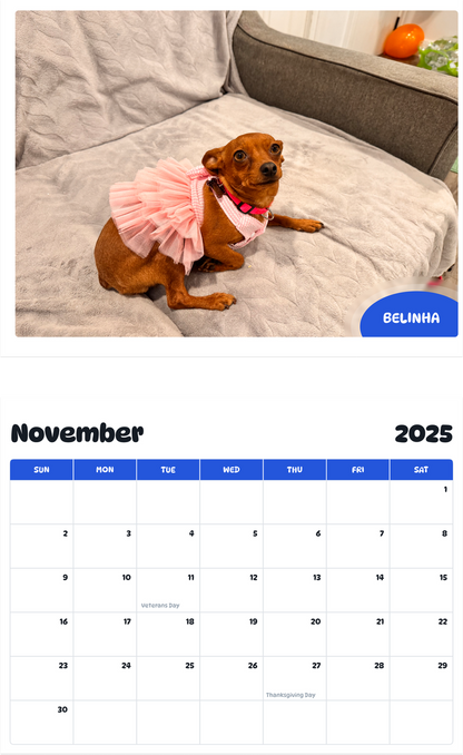 July 2025 - June 2026 Belinha - Pawidols Pet Calendar