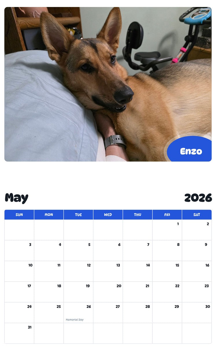 2026 - 2027 Enzo - Pawidols Pet Calendar