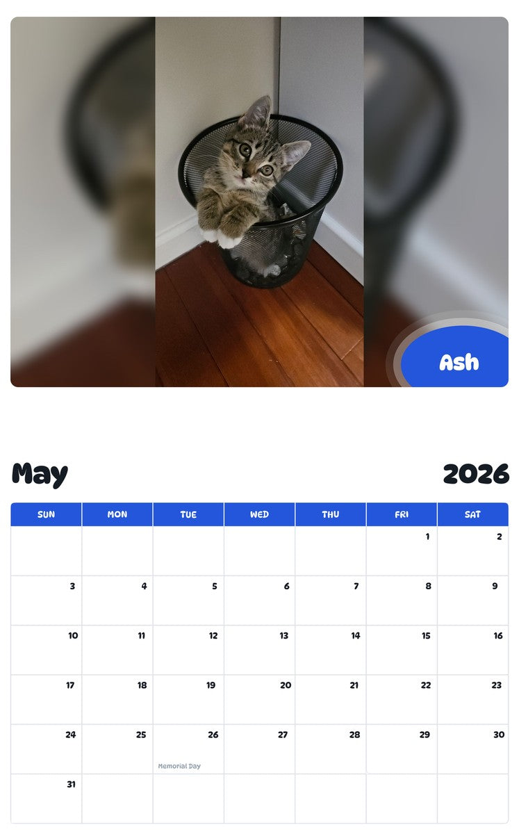 2026 - 2027 Ash - Pawidols Pet Calendar