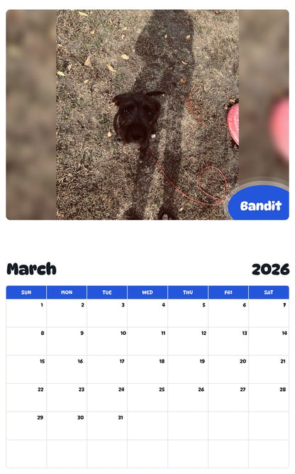 November 2025 - October 2026 Bandit - Pawidols Pet Calendar