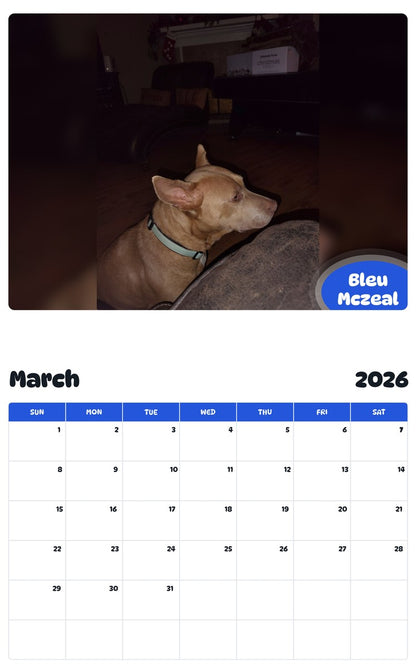 November 2025 - October 2026 Bleu Mczeal - Pawidols Pet Calendar