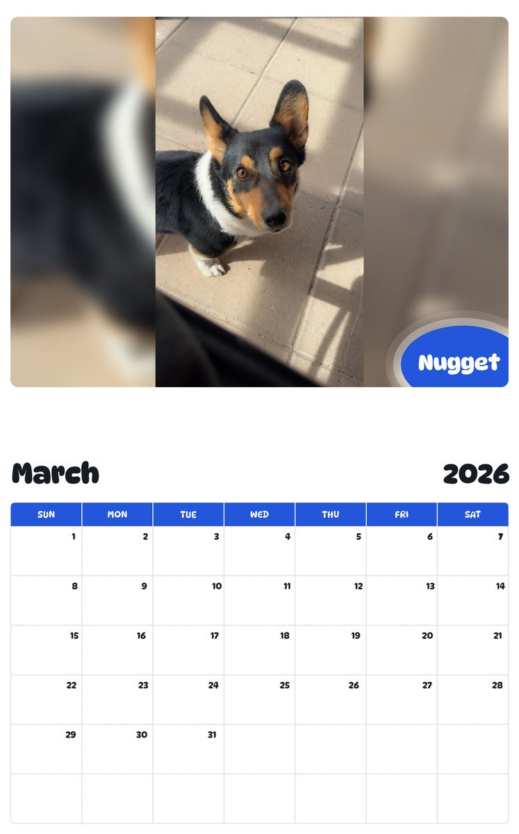 November 2025 - October 2026 Nugget - Pawidols Pet Calendar