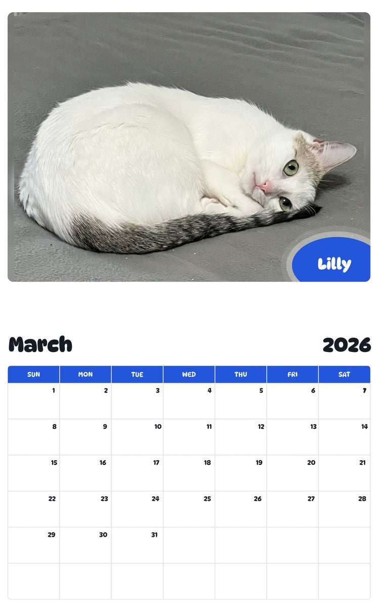 November 2025 - October 2026 Lilly - Pawidols Pet Calendar