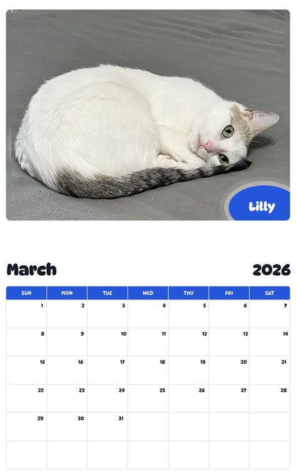 November 2025 - October 2026 Lilly - Pawidols Pet Calendar