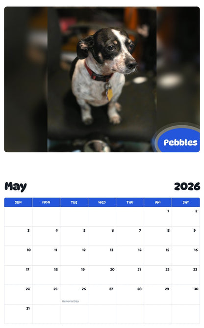 2026 - 2027 Pebbles - Pawidols Pet Calendar