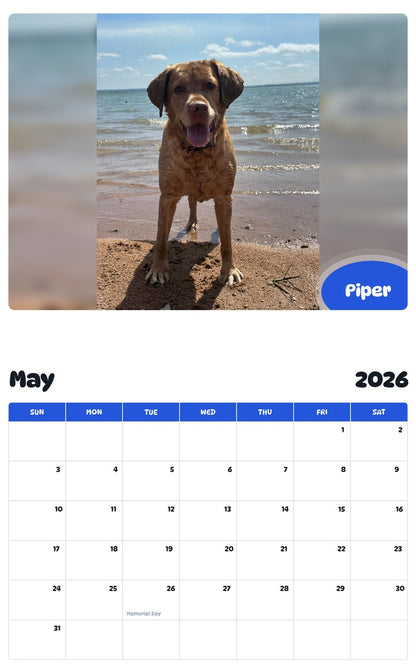 2026 - 2027 Piper - Pawidols Pet Calendar