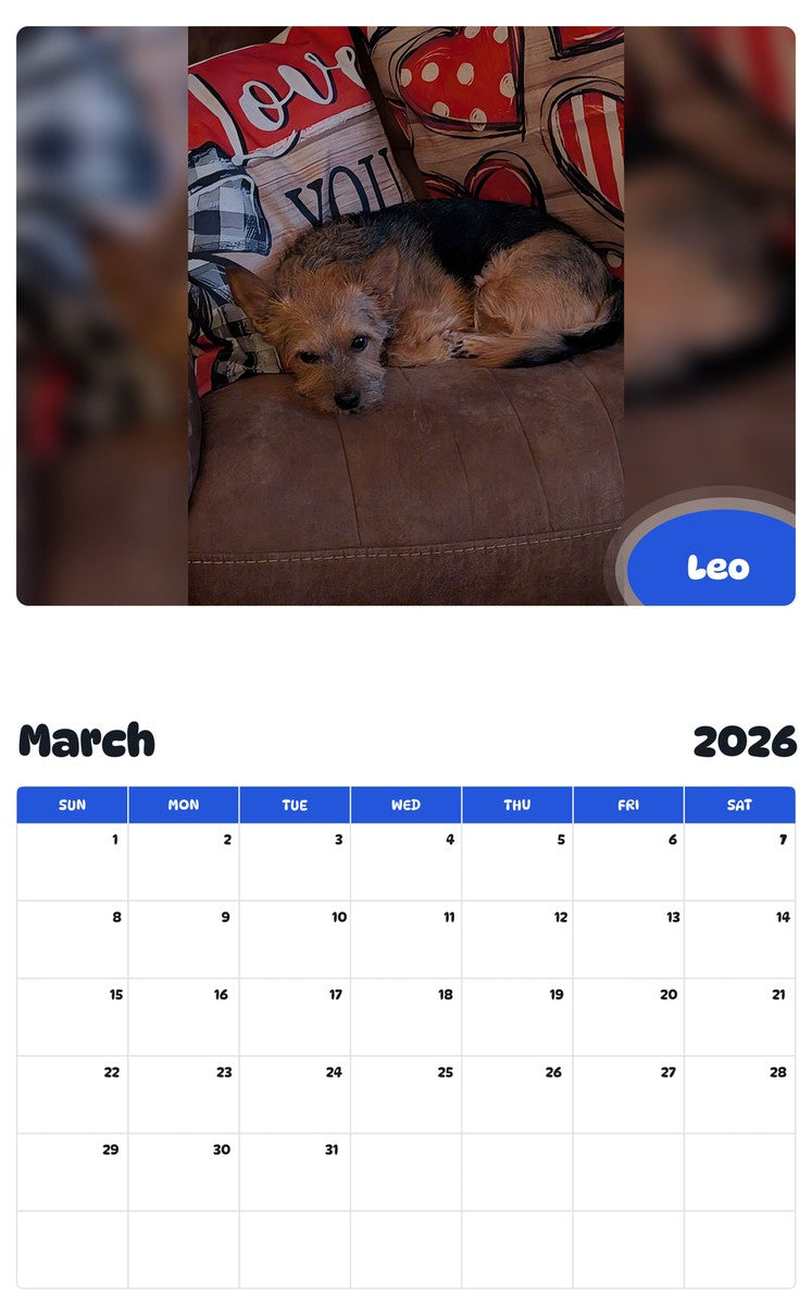 November 2025 - October 2026 Leo - Pawidols Pet Calendar
