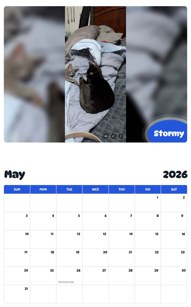2026 - 2027 Stormy - Pawidols Pet Calendar