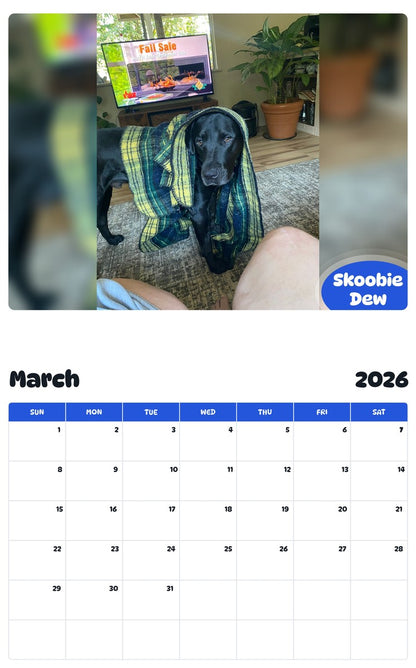 November 2025 - October 2026 Skoobie Dew - Pawidols Pet Calendar