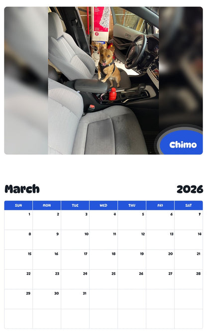 November 2025 - October 2026 Chimo - Pawidols Pet Calendar