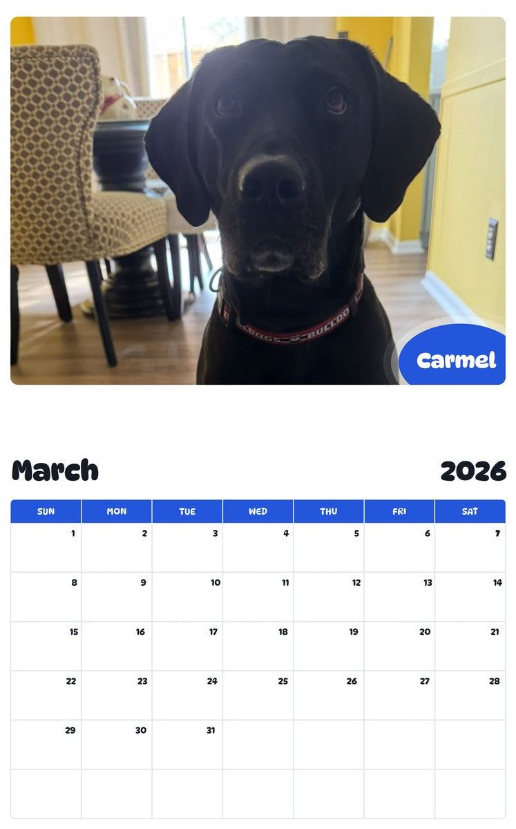 November 2025 - October 2026 Carmel - Pawidols Pet Calendar