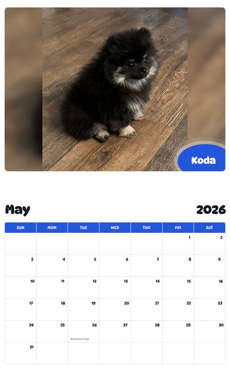 2026 - 2027 Koda - Pawidols Pet Calendar