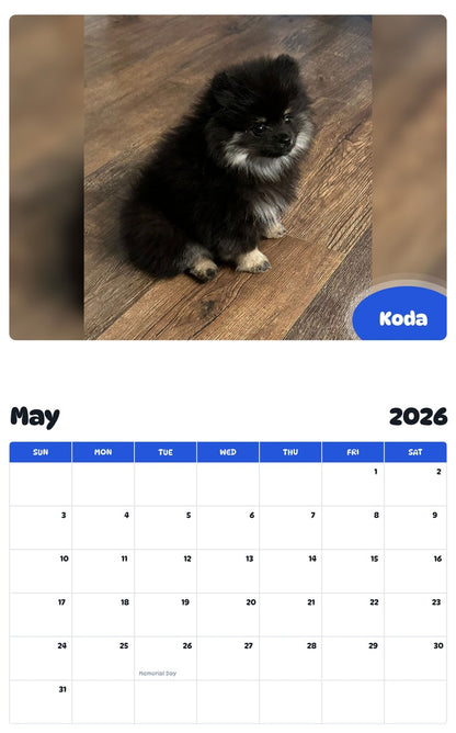 2026 - 2027 Koda - Pawidols Pet Calendar