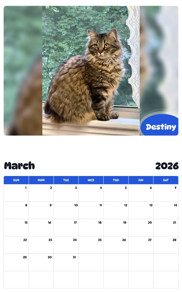 November 2025 - October 2026 Destiny - Pawidols Pet Calendar