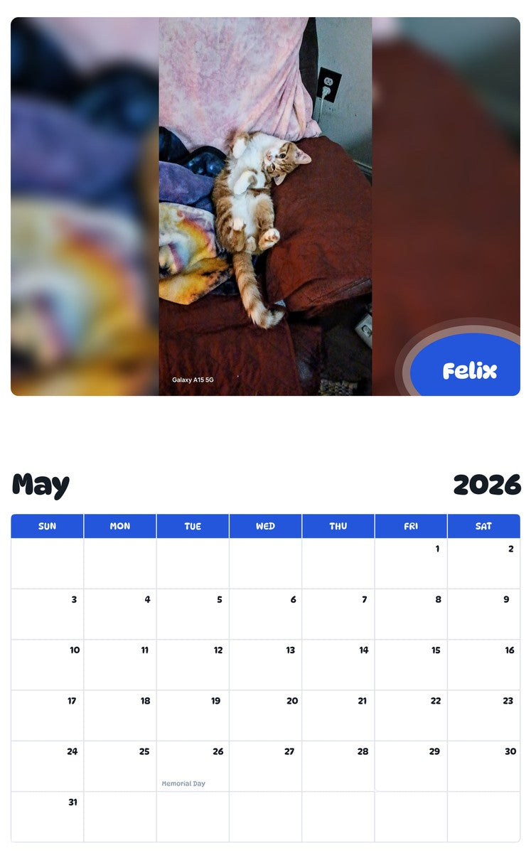 2026 - 2027 Felix - Pawidols Pet Calendar