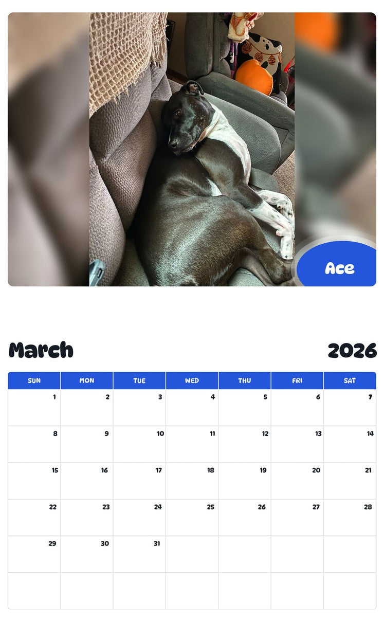 November 2025 - October 2026 Ace - Pawidols Pet Calendar