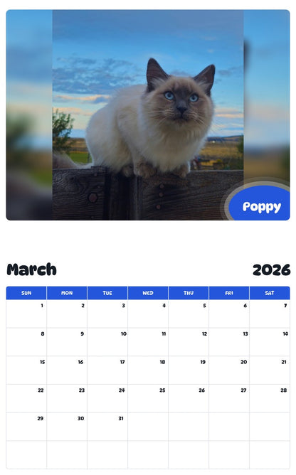 November 2025 - October 2026 Poppy - Pawidols Pet Calendar