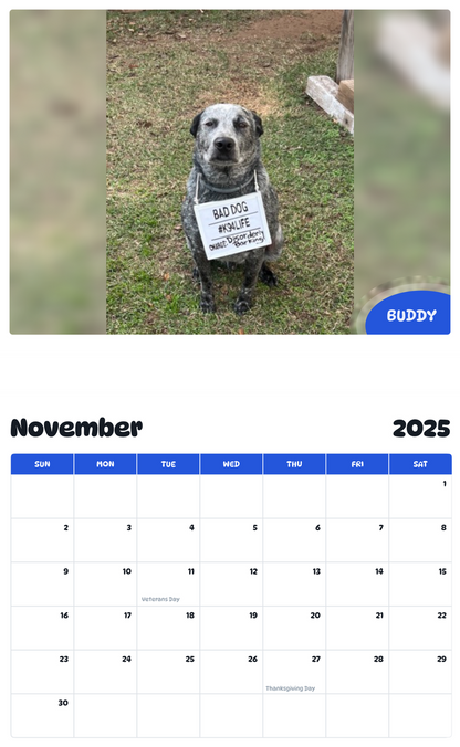 July 2025 - June 2026 Buddy - Pawidols Pet Calendar