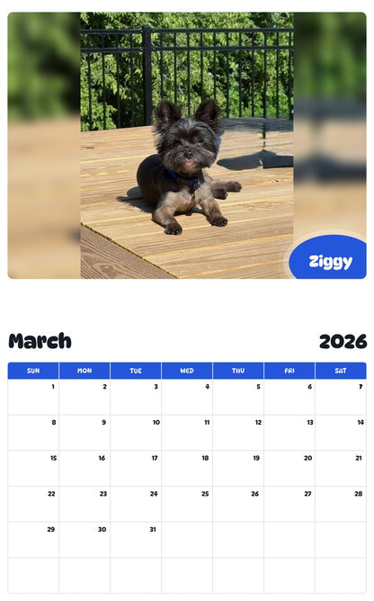 November 2025 - October 2026 Ziggy - Pawidols Pet Calendar