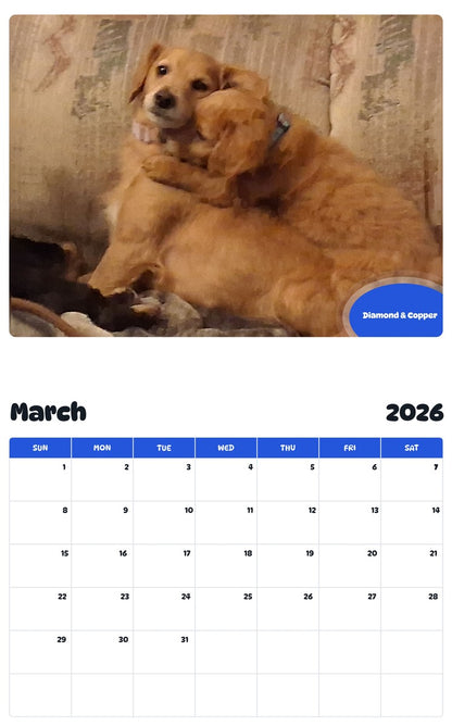November 2025 - October 2026 Diamond & Copper - Pawidols Pet Calendar