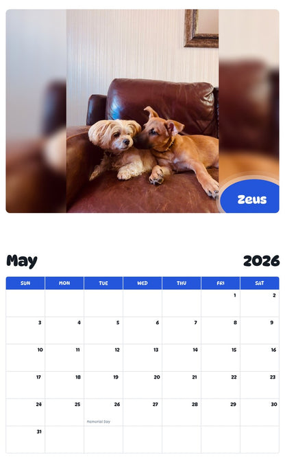 2026 - 2027 Zeus - Pawidols Pet Calendar