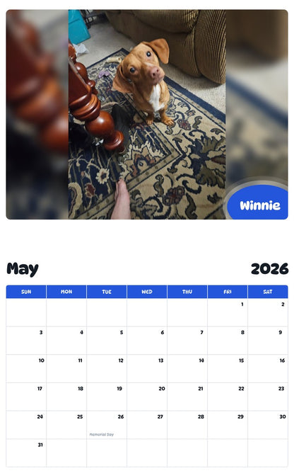 2026 - 2027 Winnie - Pawidols Pet Calendar