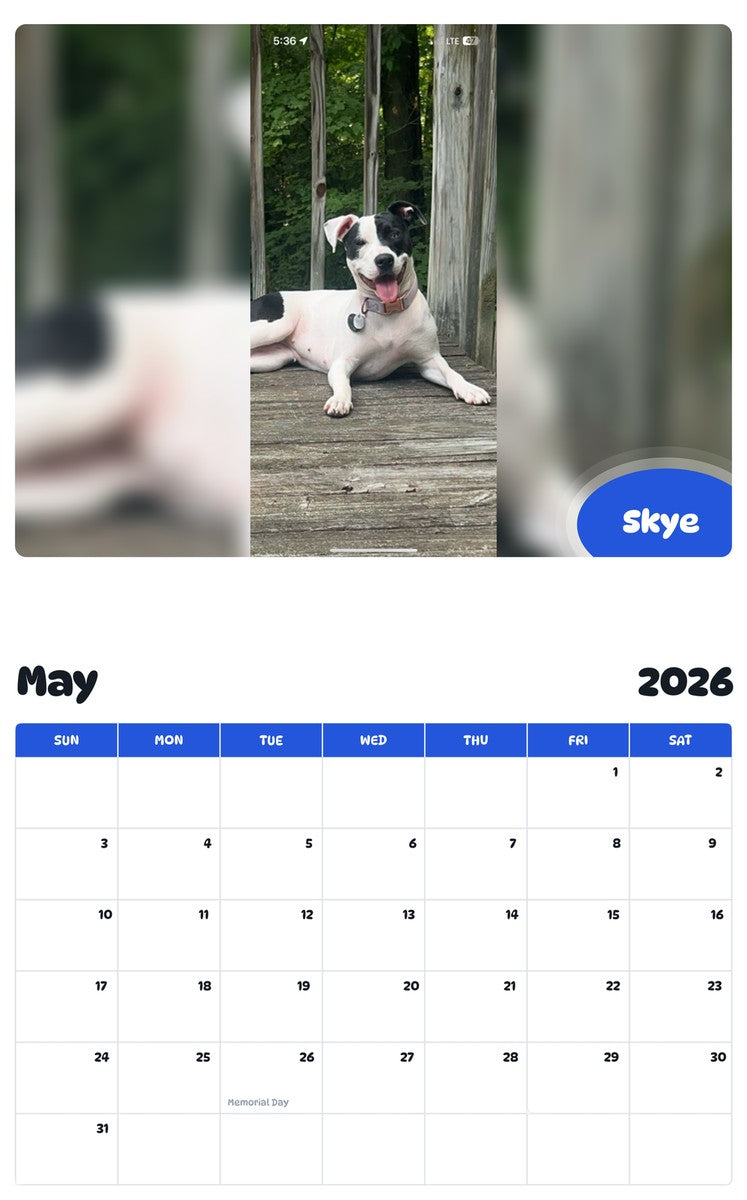 2026 - 2027 Skye - Pawidols Pet Calendar