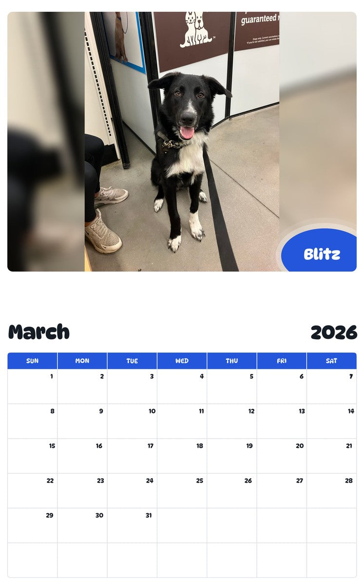 November 2025 - October 2026 Blitz - Pawidols Pet Calendar