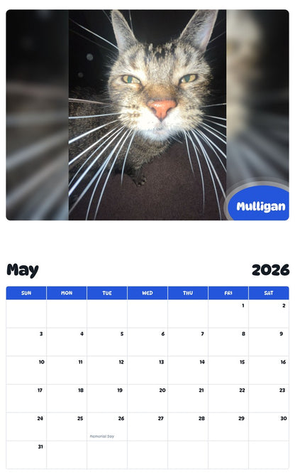 2026 - 2027 Mulligan - Pawidols Pet Calendar