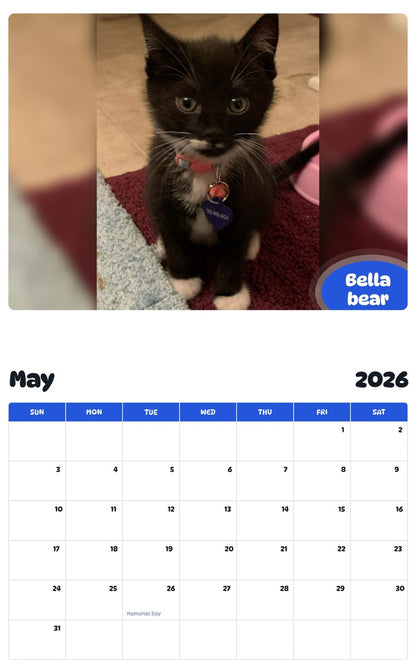 2026 - 2027 Bella bear - Pawidols Pet Calendar