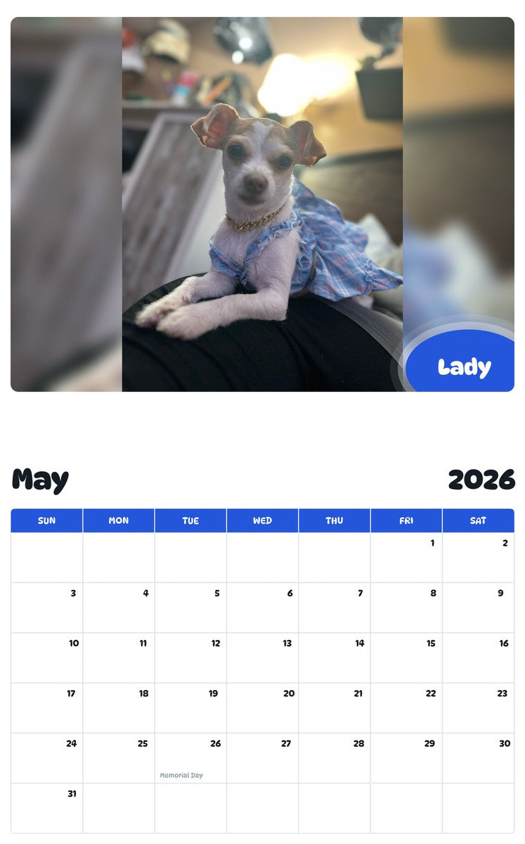 2026 - 2027 Lady - Pawidols Pet Calendar