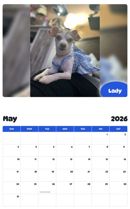 2026 - 2027 Lady - Pawidols Pet Calendar