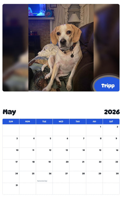 2026 - 2027 Tripp - Pawidols Pet Calendar