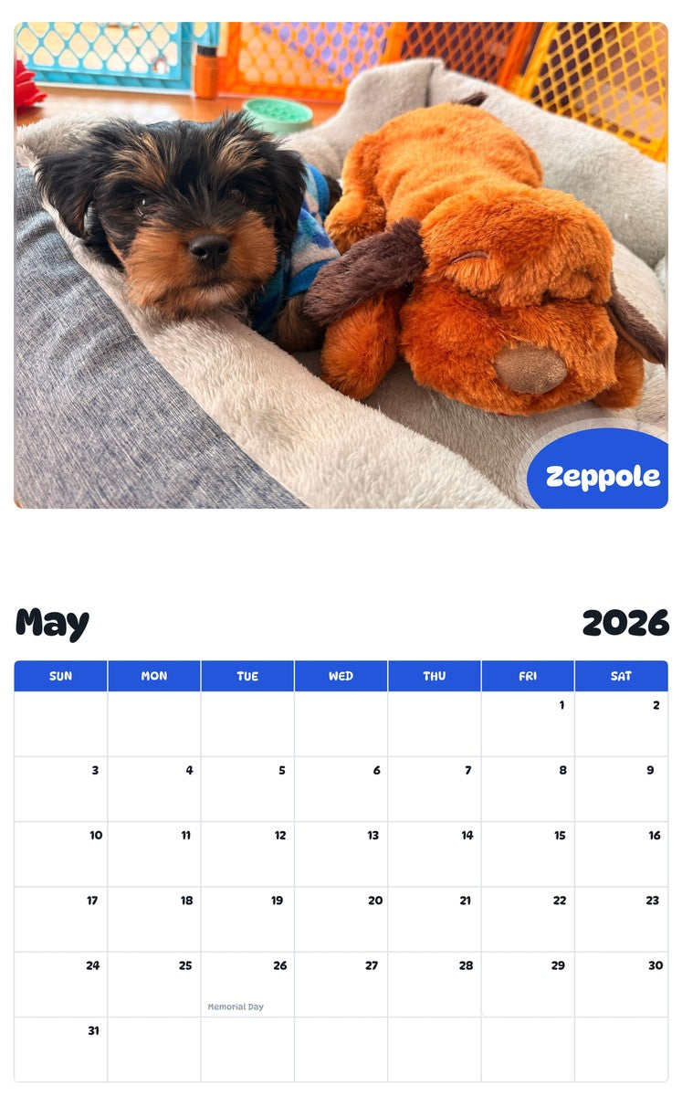 2026 - 2027 Zeppole - Pawidols Pet Calendar