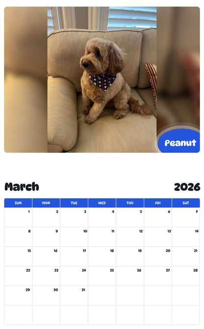 November 2025 - October 2026 Peanut - Pawidols Pet Calendar