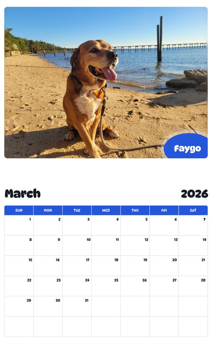 November 2025 - October 2026 Faygo - Pawidols Pet Calendar