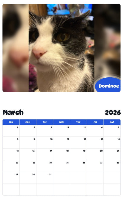 November 2025 - October 2026 Dominoe - Pawidols Pet Calendar