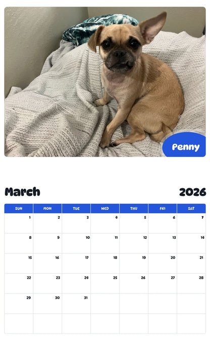November 2025 - October 2026 Penny - Pawidols Pet Calendar