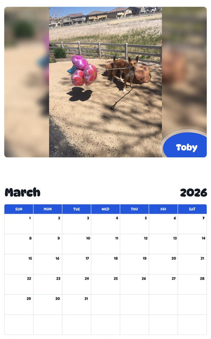November 2025 - October 2026 Toby - Pawidols Pet Calendar