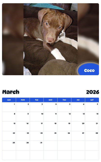 November 2025 - October 2026 Coco - Pawidols Pet Calendar