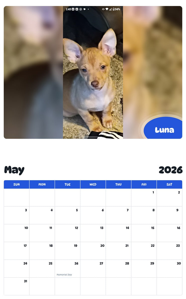 2026 - 2027 Luna - Pawidols Pet Calendar