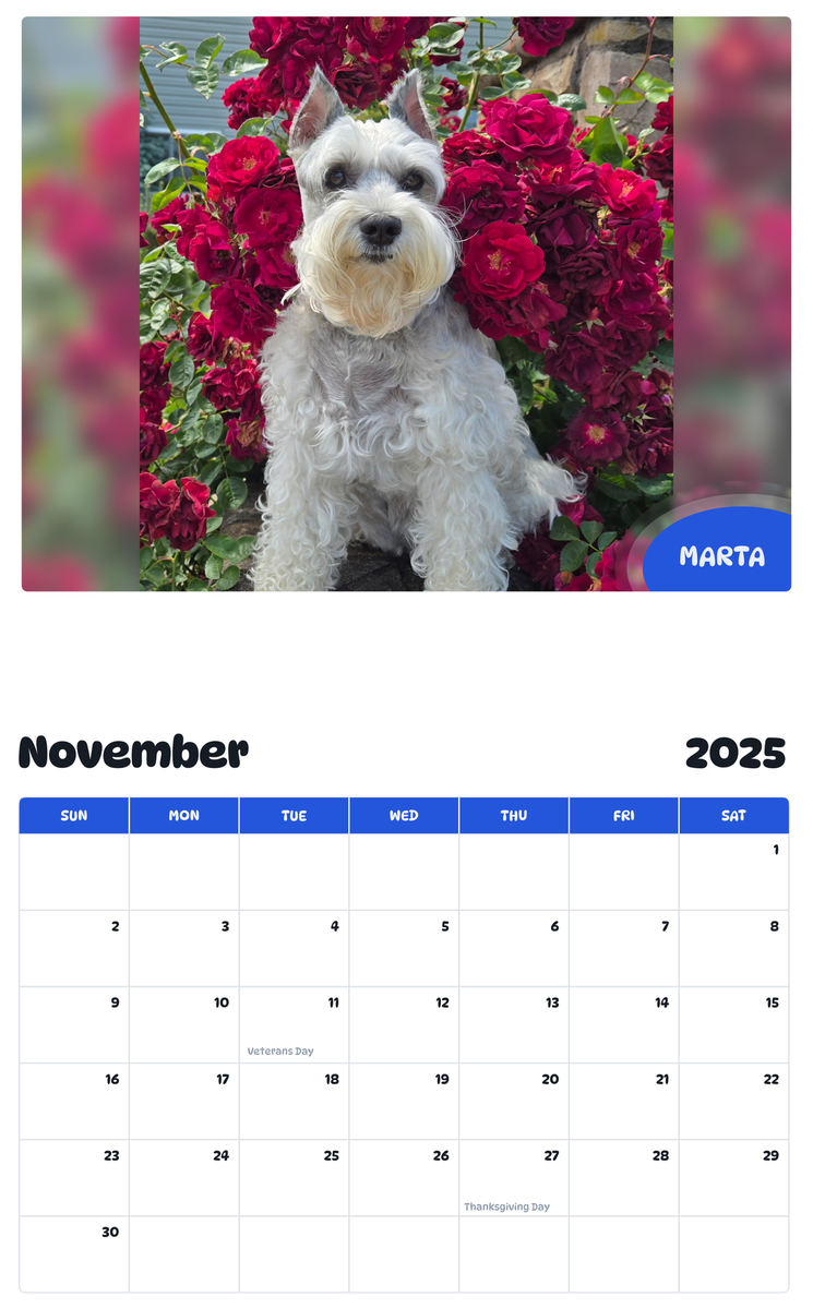 July 2025 - June 2026 Marta - Pawidols Pet Calendar