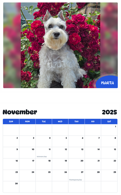 July 2025 - June 2026 Marta - Pawidols Pet Calendar